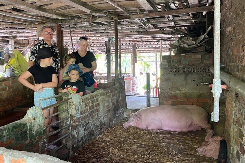Visit Local Family