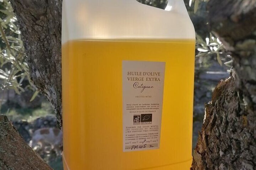 Tasting Oil Olive