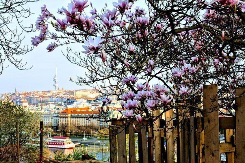 Self-guided Discovery Walk in Prague: breathtaking views and parks
