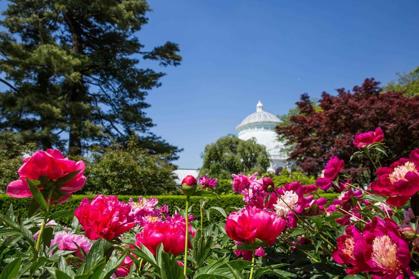 NYC: New York Botanical Garden Pass with Orchid Show Option