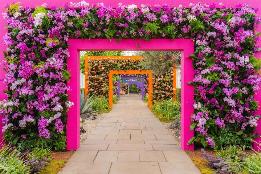 NYC: New York Botanical Garden Pass with Orchid Show Option