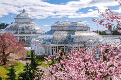 NYC：紐約植物園全園通行證門票