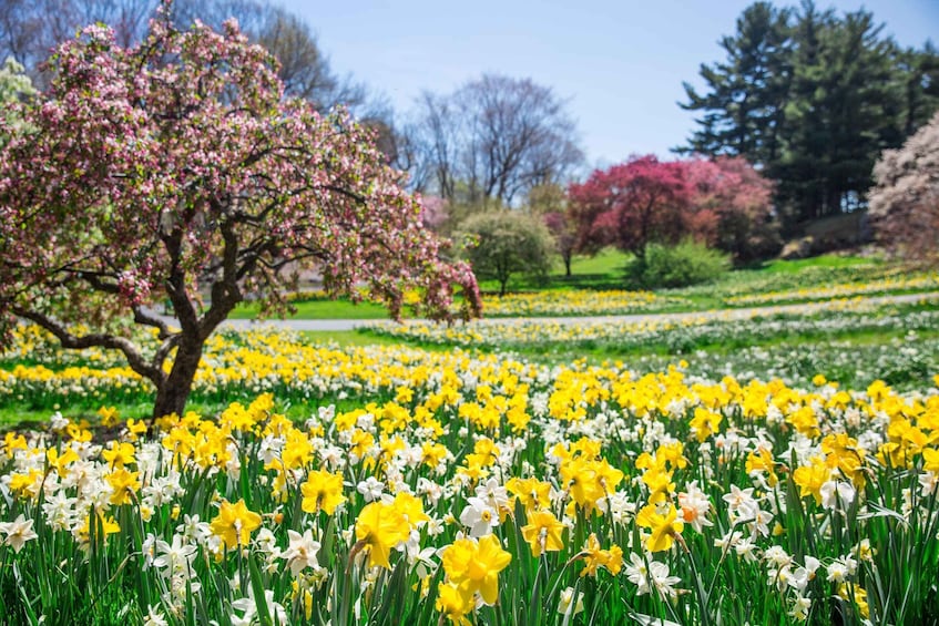 Picture 9 for Activity NYC: New York Botanical All-Garden Pass Entry ticket