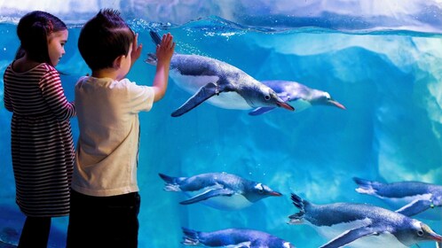 SEA LIFE Paris Admission Ticket