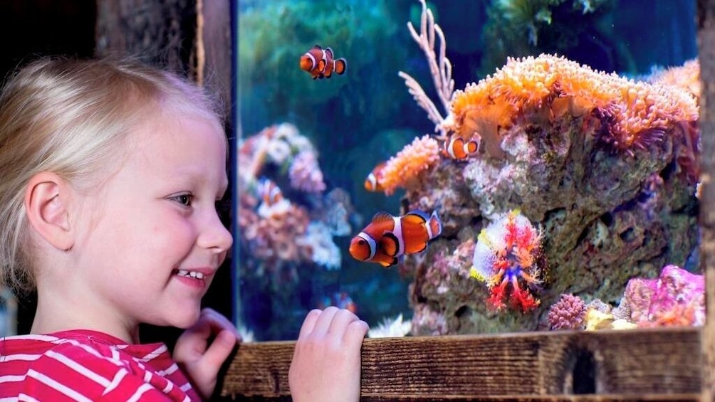 SEA LIFE Paris Admission Ticket