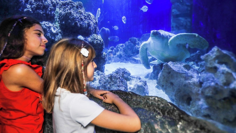 SEA LIFE Paris Admission Ticket