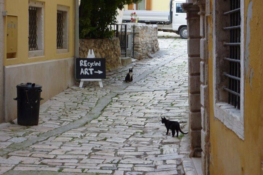 Private Historical Walking Tour in Rovinj