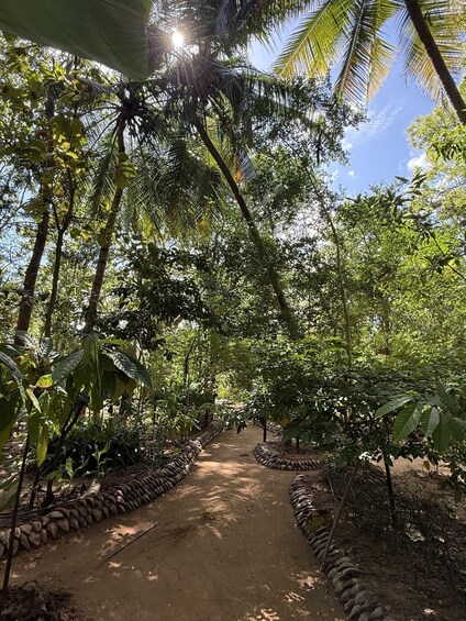 Picture 6 for Activity Trincomalee to Sigiriya:Rural Village Tour & Elephant Safari