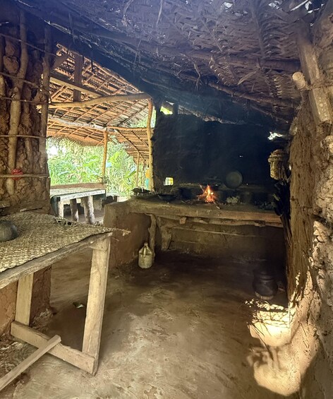 Picture 2 for Activity Trincomalee to Sigiriya:Rural Village Tour & Elephant Safari