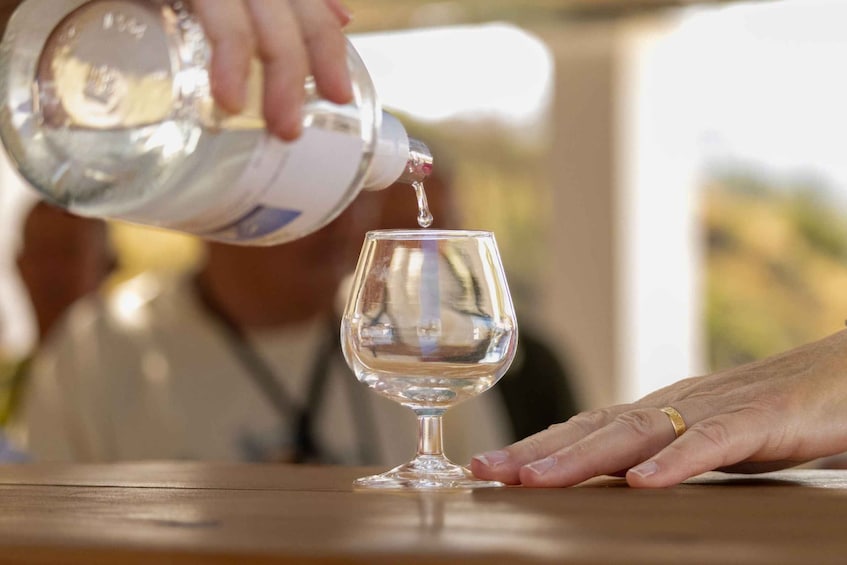 Picture 6 for Activity Epano Kalamonas: Traditional Rhodes Wine Tasting Tour