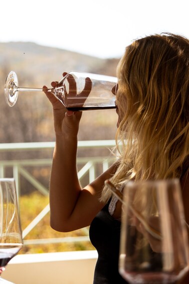 Picture 2 for Activity Wines of Rhodes: Traditional Wine Tasting in the vineyards