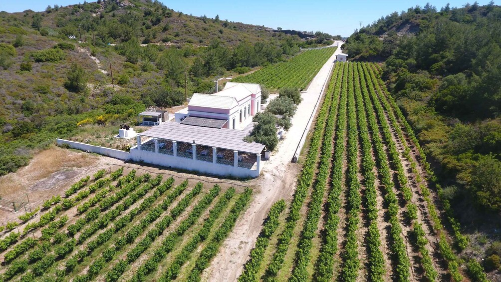 Picture 1 for Activity Epano Kalamonas: Traditional Rhodes Wine Tasting Tour