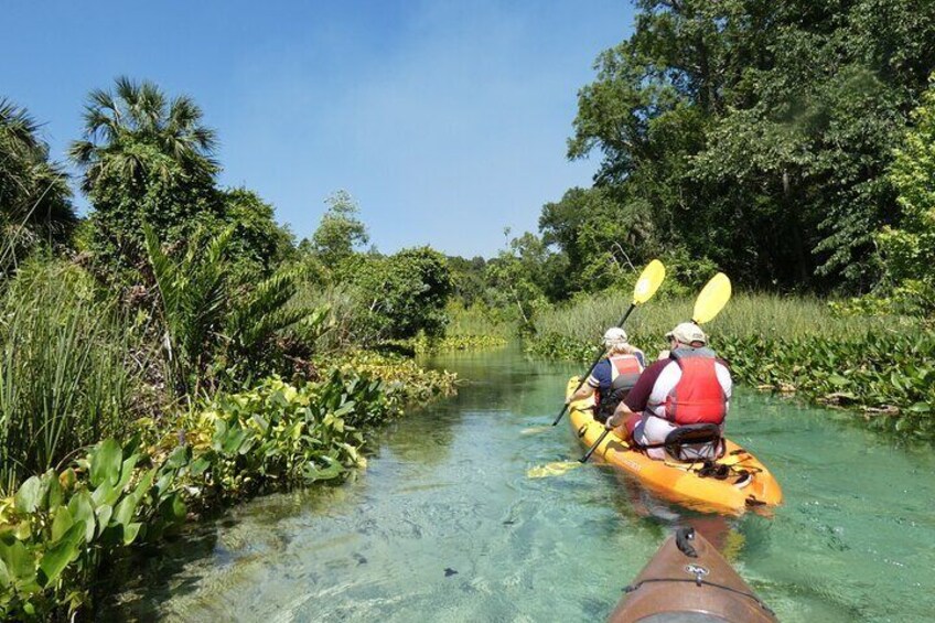 Small Group Rock Springs Run Eco Kayak Adventure