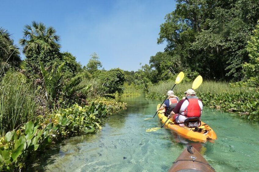 Small Group Rock Springs Run Eco Kayak Adventure