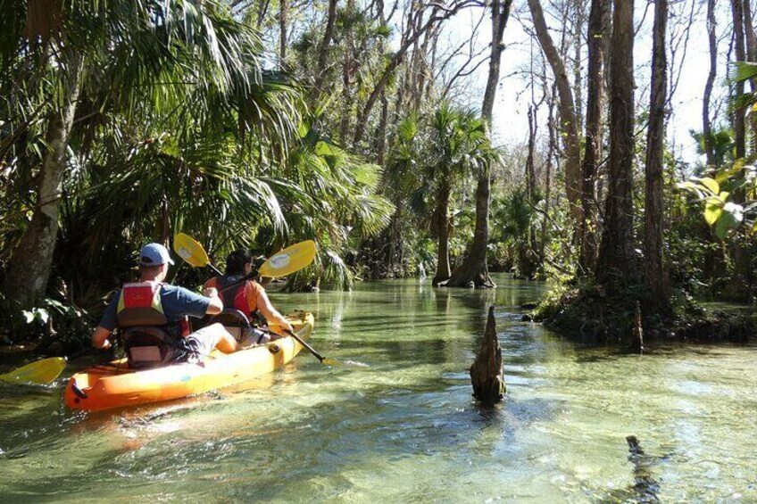 Small Group Rock Springs Run Eco Kayak Adventure