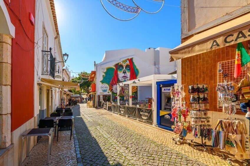 Faro to Sagres Private Scenic Coastal Journey Through Algarve