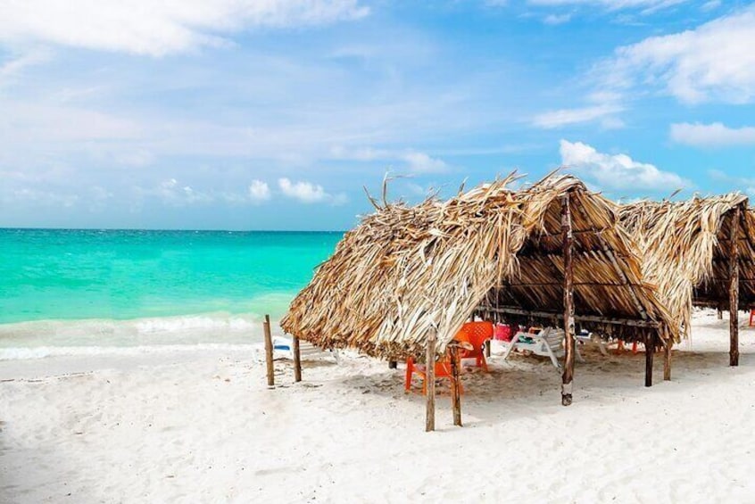 Full Day Tour to Playa Blanca Baru with Lunch