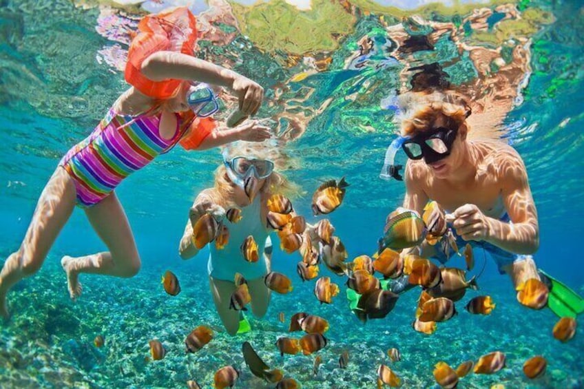 Full Day Tour to Playa Blanca Baru with Lunch