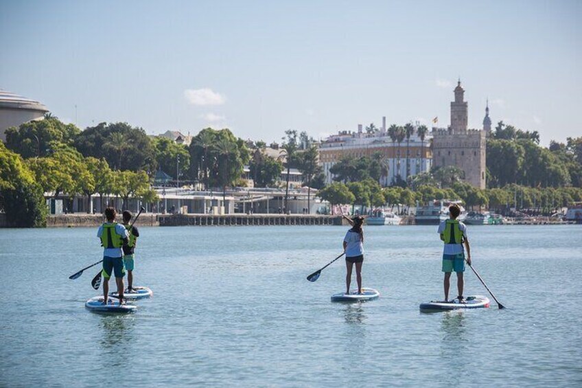 Seville Private Paddle Surf Tour