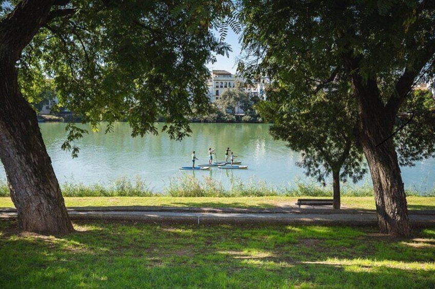 Seville Private Paddle Surf Tour