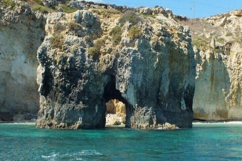 Boat tour with dolphin sighting