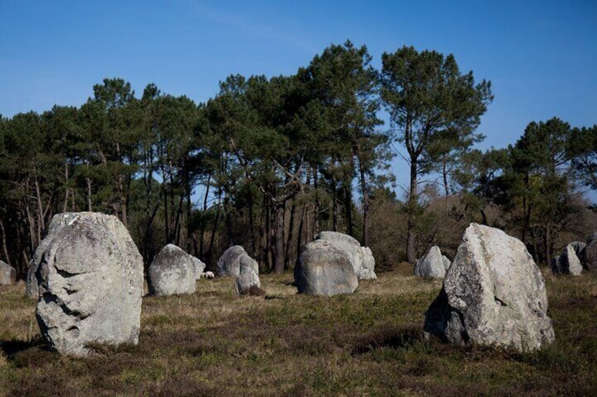 Guided tour of the Megalithic Site of Carnac