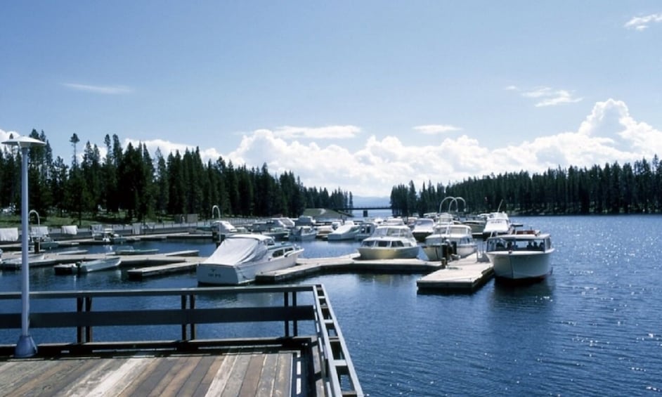 Mt Rushmore Yellowstone & Arches National Parks 7-day Tour