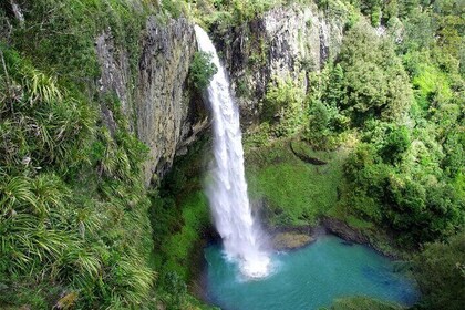 Raglan Nouvelle-Zélande Tour d'aventure au départ d'Auckland