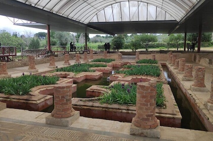 Coimbra Discovering Roman Heritage