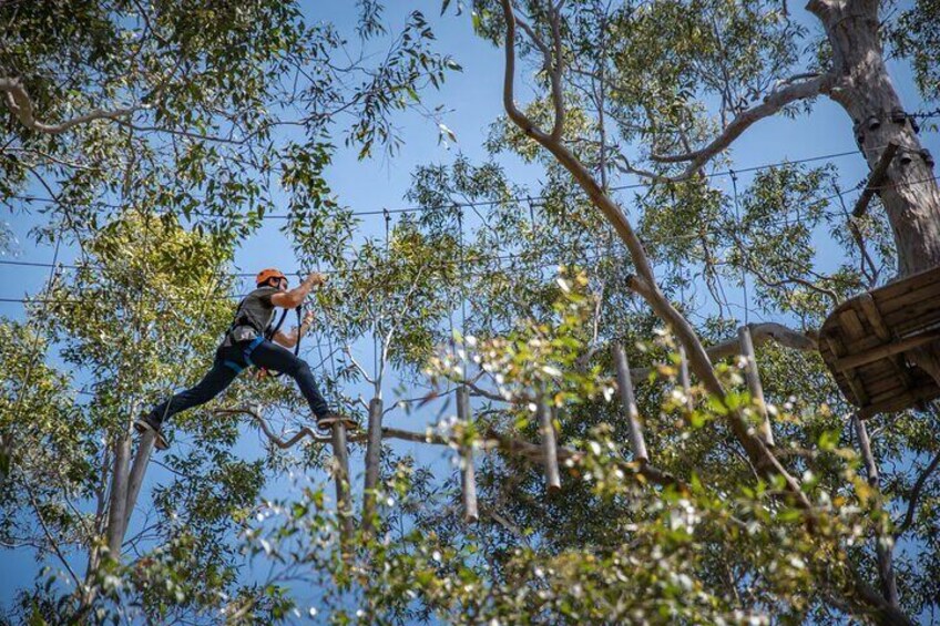 Treetops Adventure Newcastle with Tree Ropes Course