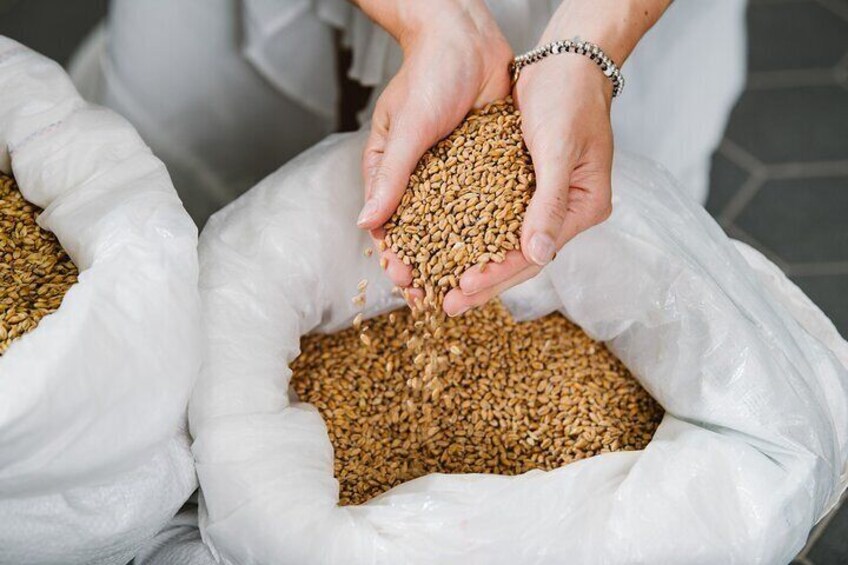 Sample and get to know raw materials