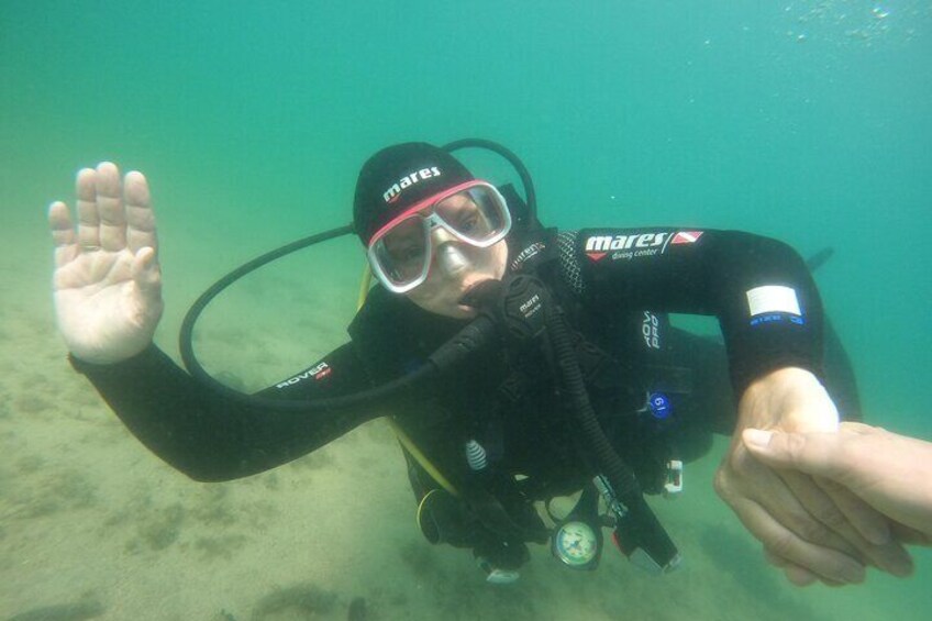 Scuba Diving in Rovinj