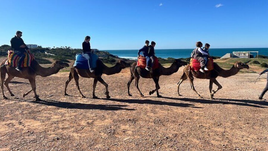 Riding to Camels