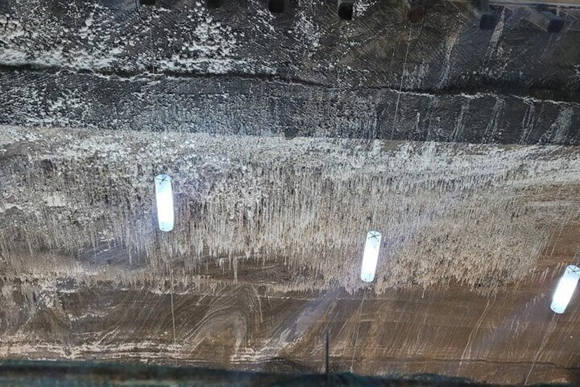 Half-Day Tour to Salt Mine, Imersiv Art and SteamPunk