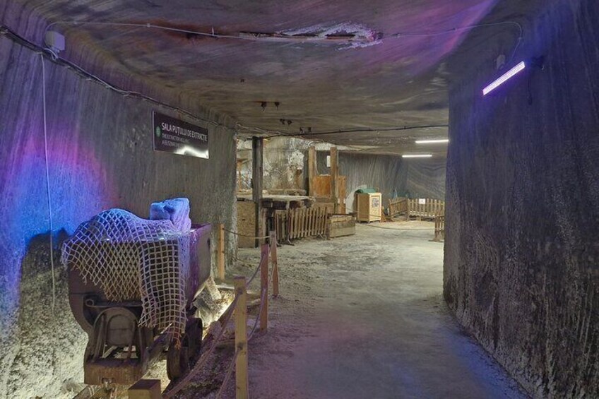 Half-Day Tour to Salt Mine, Imersiv Art and SteamPunk