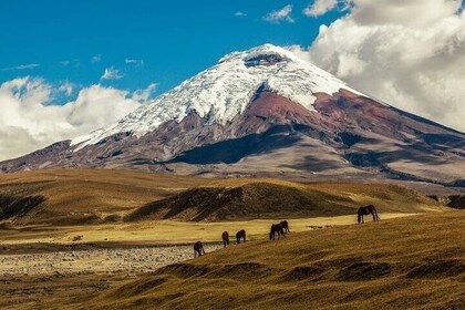 Adventure in Ecuador Volcano Cotopaxi
