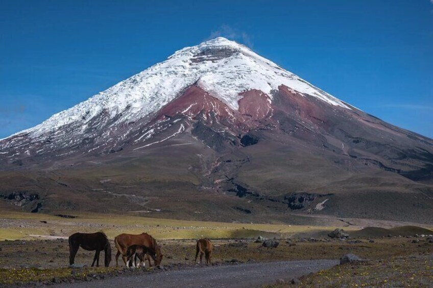 Adventure in Ecuador Volcano Cotopaxi