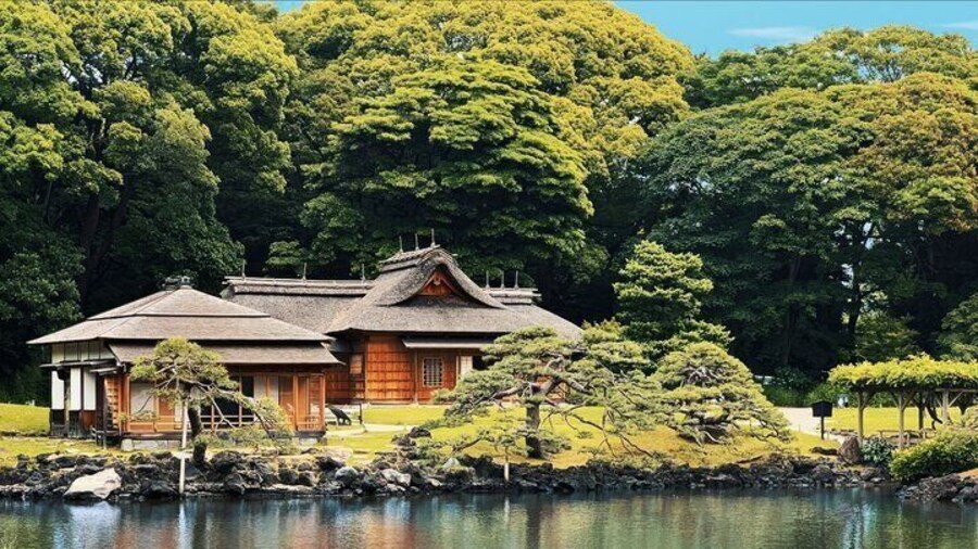 Tokyo Bay and Tsukiji Fish Market