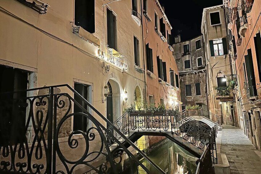 Guided Walking Tour in Venice by Night Crowd
