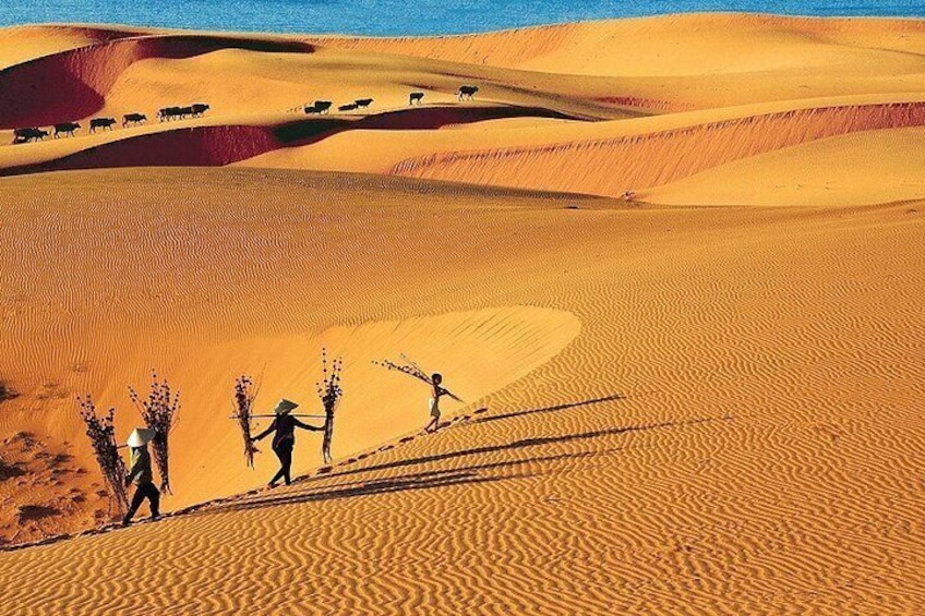 Phan Thiet Highlights The Best in Just One Day