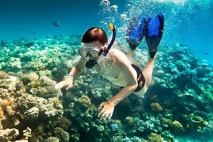 Phu Quoc Snorkeling and Island Discovery
