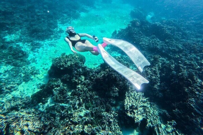 Phu Quoc Snorkeling and Island Discovery