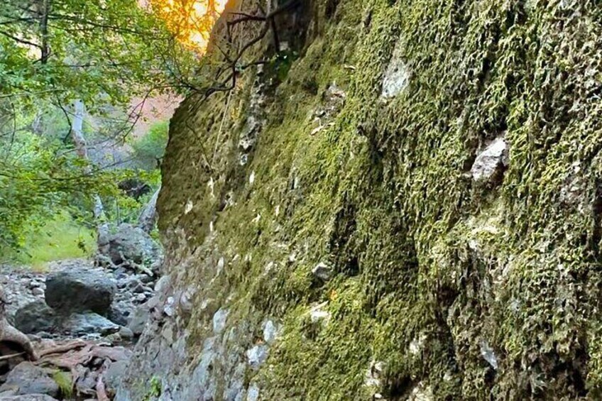 Electric Bike & Hike to Hidden Grotto & Waterfall experience