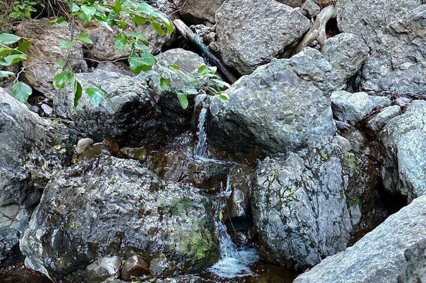 Electric Bike & Hike to Hidden Grotto & Waterfall experience