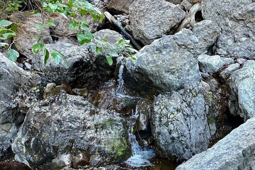 Electric Bike & Hike to Hidden Grotto & Waterfall experience
