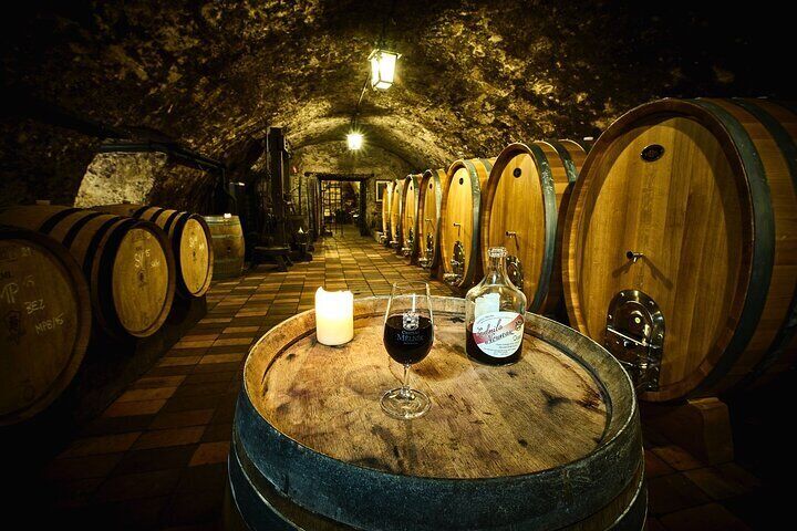 From Prague : Bohemian Gastronomic Journey all Inclusive