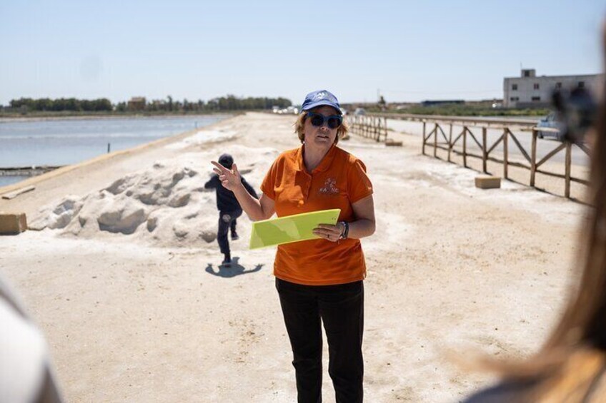Birdwatching at Saline Maria Stella in Trapani