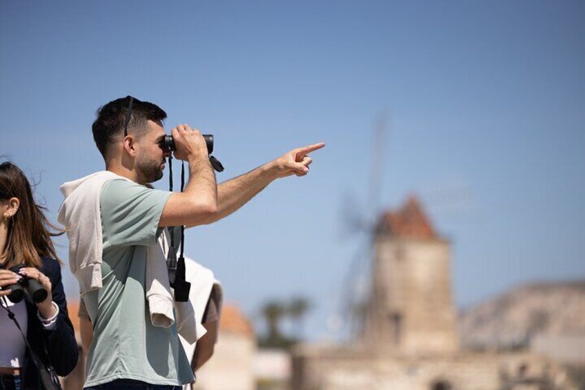 Birdwatching at Saline Maria Stella in Trapani