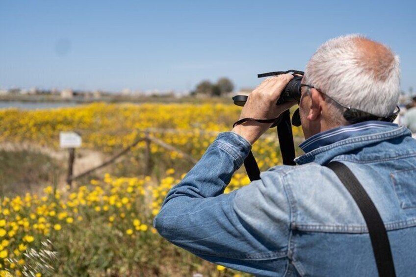 Birdwatching at Saline Maria Stella in Trapani