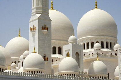 Excursión de un día completo a Abu Dabi